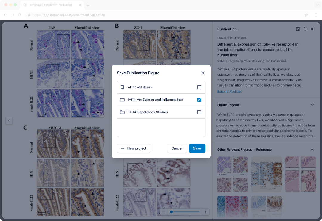 Save Publication Figure modal: project-based curation flow — scientists organising evidence into shared workspaces without leaving the research view.